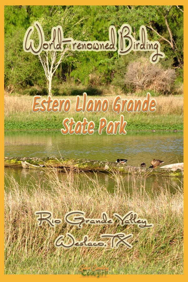 Log in pond with ducks and text overlay: World-renowned birding, Estero Llano Grande State Park