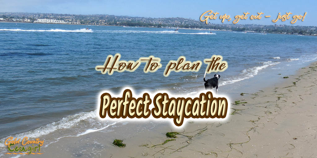 dog walking on the beach with text overlay: How to plan the perfect staycation