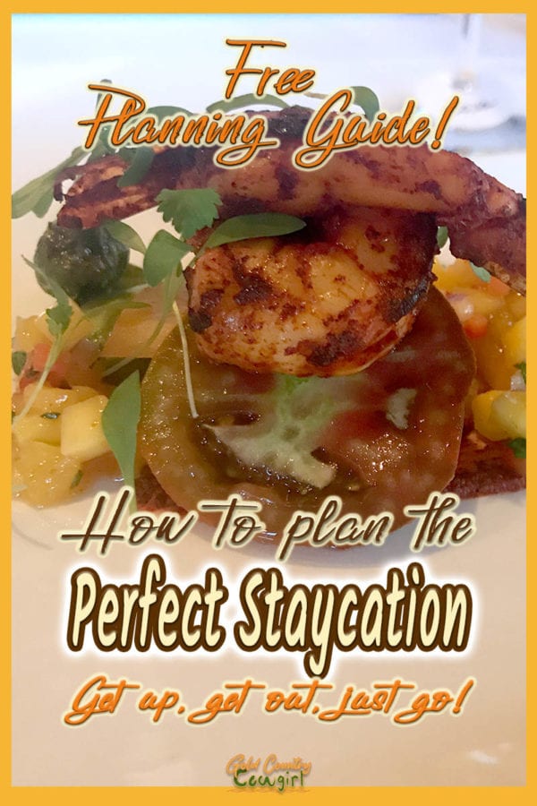 photo of a fancy appetizer with text overlay: Free planning guide! How to plan the perfect staycation. Get up, get out, just go!
