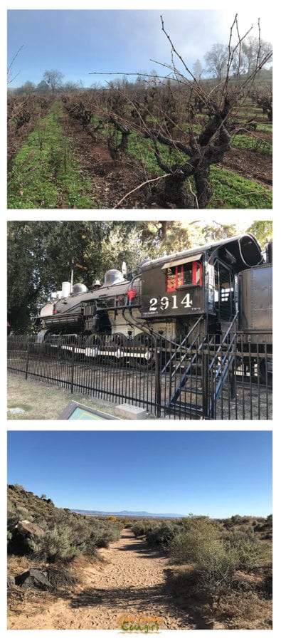 old zinfandel vines, train engine at museum, trail - plan a variety of activities for the perfect staycation