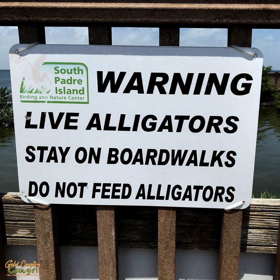 sign that reads "warning live alligators stay on boardwalks do not fee alligatos"