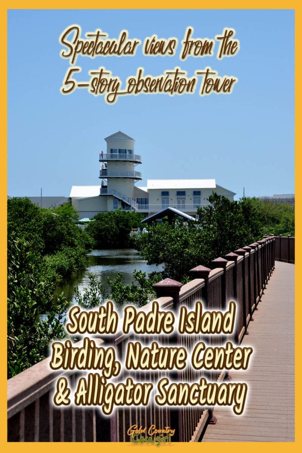 observation tower from boardwalk with text overlay: Spectacular views from the 5-story observation tower, South Padre Island Birding, Nature Center & Alligator Sanctuary