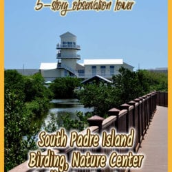 SPI Birding Center title graphic v2