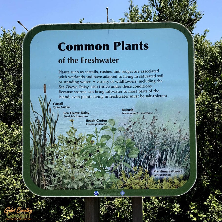 sign about common freshwater plants