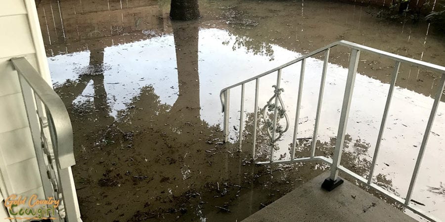 floodwater in yard coming up to top third step