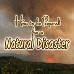 Natural Disaster title graphic h