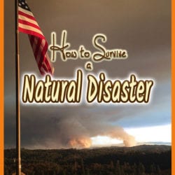 Natural Disaster title graphic v