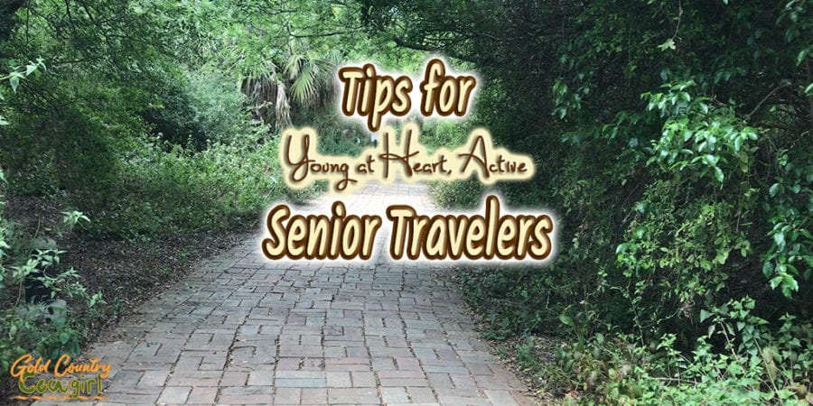 brick path with text overlay: Tips for young at heart, active senior travelers