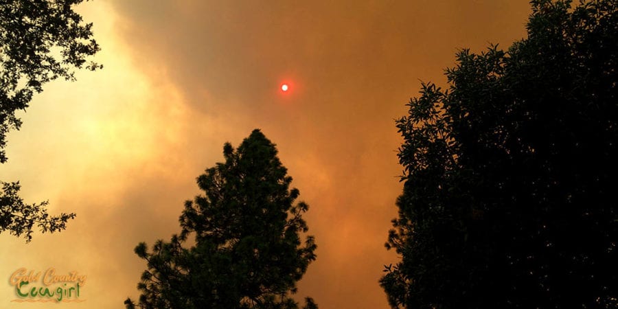 very orange sun glowing through dark smoke clouds from a wildfire