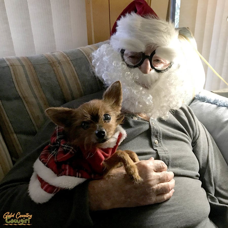 man in Santa beard with a Yorkie. Life is especially too short for our pets.