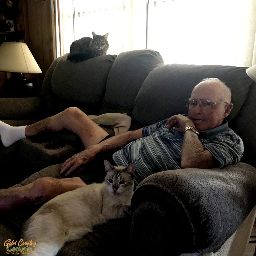 man on sofa with two cats