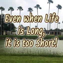 Even when Life is Long, it is too Short!