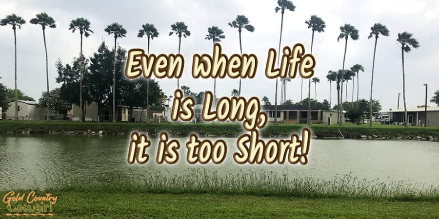 palm tree lined pond with text overlay: Even when life is long, it is too short!