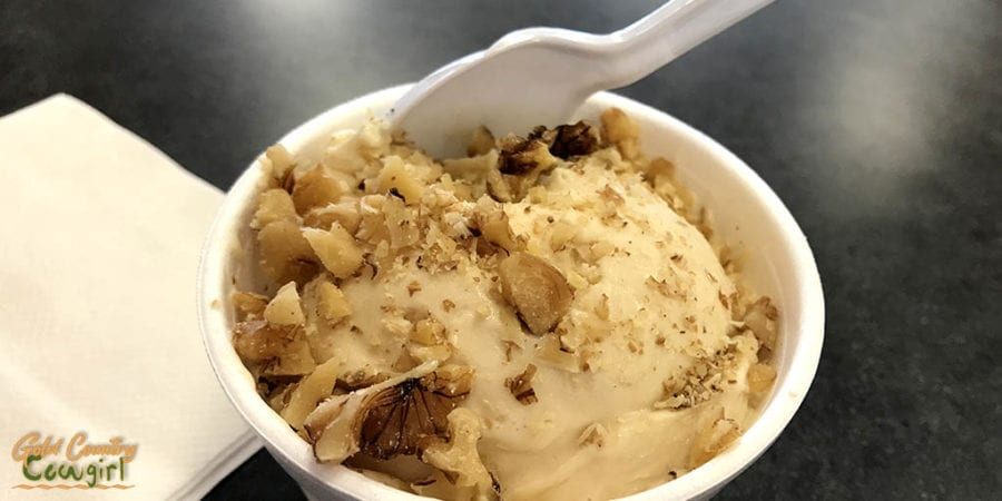 Schoolhouse Creamery vanilla with walnuts - best place to eat ice cream in Harlingen, TX