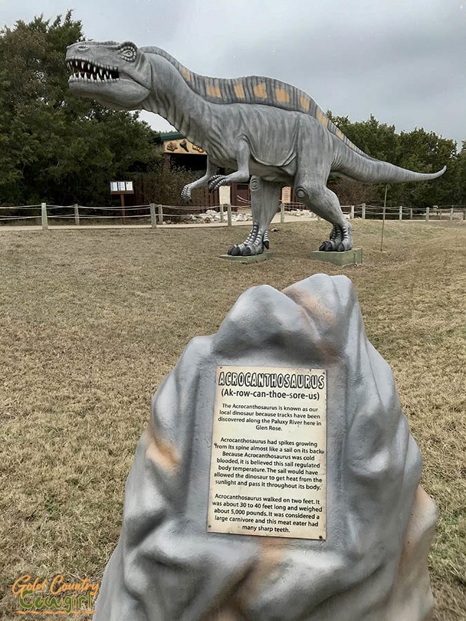 replica of acrocanthosaurus at Dinosaur World in Glen Rose, Texas