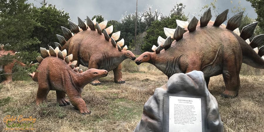 three stegosaurus replicas with descriptive sign