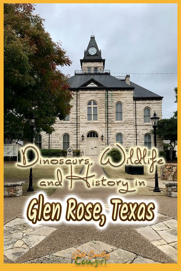 Somervell County Courthouse with text overlay: Dinosaurs, wildlife and history in Glen Rose, Texas