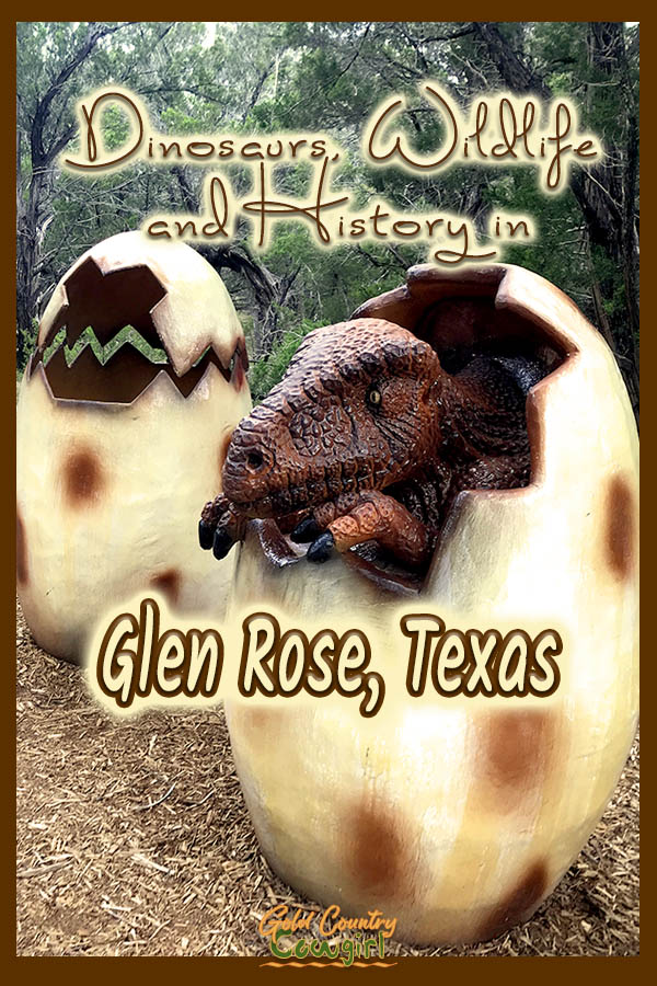 dinosaur hatching out of egg at Dinosaur World with text overlay: Dinosuars, Wildlife and History in Glen Rose, Texas