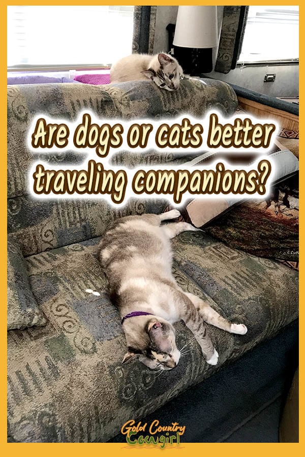 two cats on a sofa with text overlay: Are dogs or cats better traveling companions?