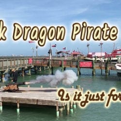Is the Black Dragon Pirate Ship Just for Kids?