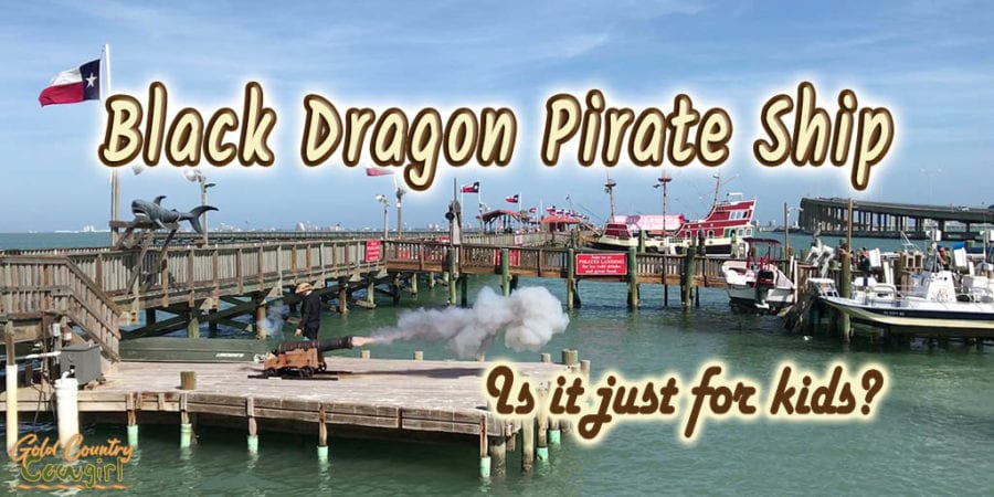 harbor scene with canon firing with text overlay: Black Dragon Pirate Ship Is it just for kids?