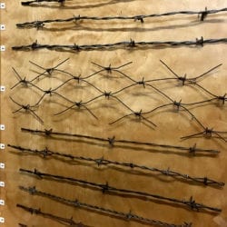 SHM barbed wire
