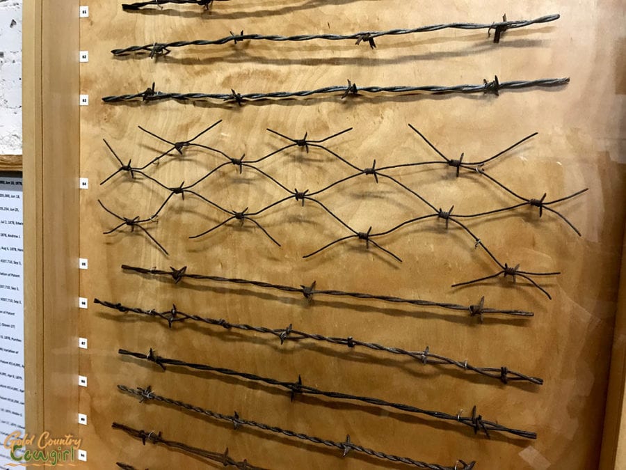 close up of barbed wire on display at Schulenburg Historical Museum