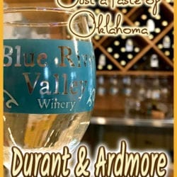 Taste of OK Durant and Ardmore v2