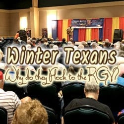 Winter Texans title graphic h