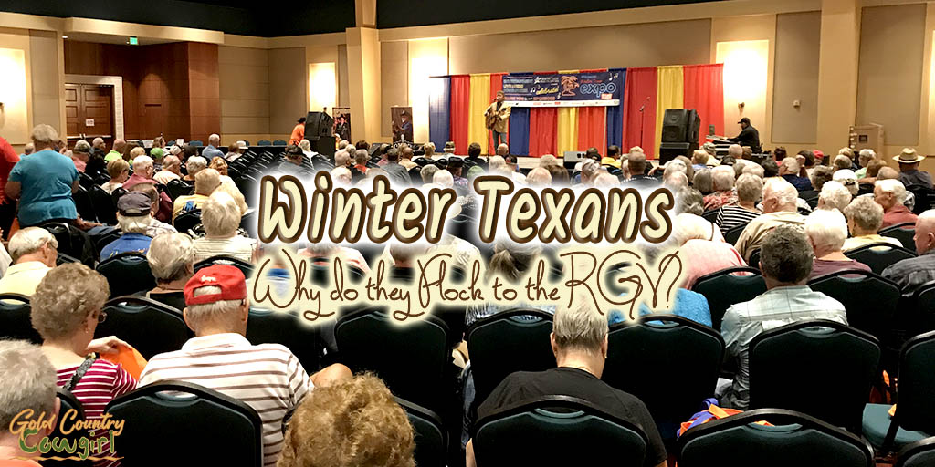 Crowd watching performer with text overlay: Winter Texans Why do they flock to the RGV?