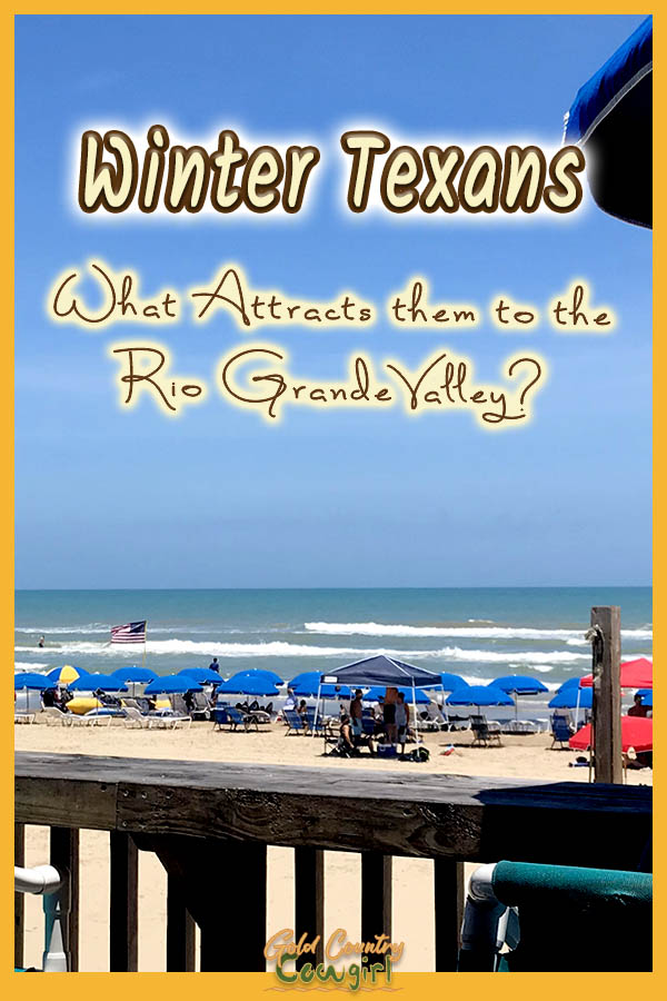 beach scene with text overlay: Winter Texans What attracts them to the Rio Grande Valley?