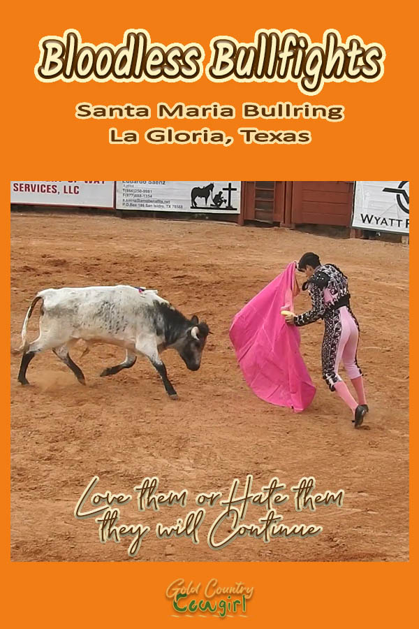 male bullfighter with pink cape and black and white bull text overlay: Bloodless Bullfights Santa Maria Bullring La Gloria, Texas Love them or Hate them they will Continue