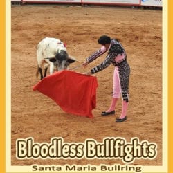 Bloodless Bullfigts title graphic v3