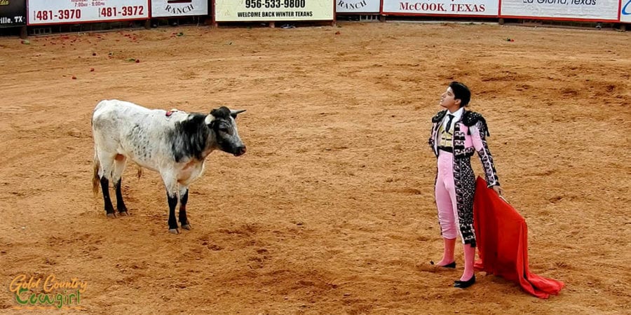 Cayetano Delgado facing down the bull at the bloodless bullfights in Texas