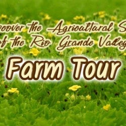 Discover the Agricultural Side of the Rio Grande Valley on a Farm Tour
