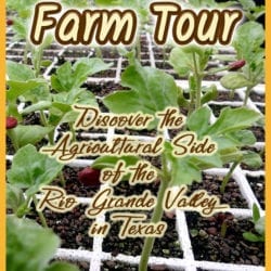 Farm Tour title graphic v2