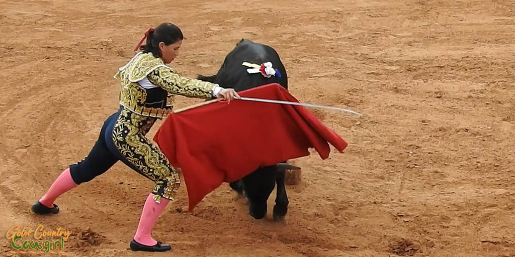 female bullfighter holding red cape in front of black bull
