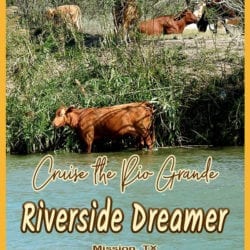 Riverside Dreamer title graphic v3