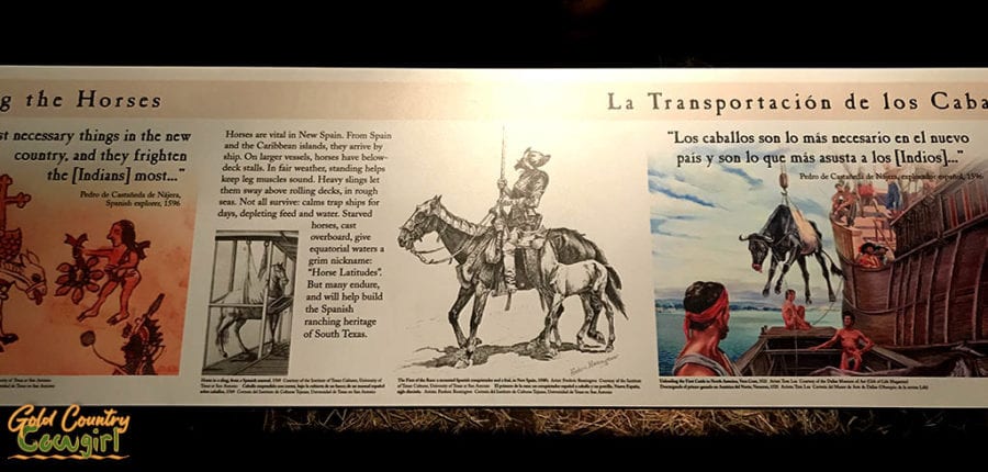 how horses were transported to the Americas