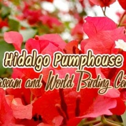 Hidalgo Pumphouse title graphic h2