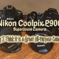 Nikon D90 and P900 side by side
