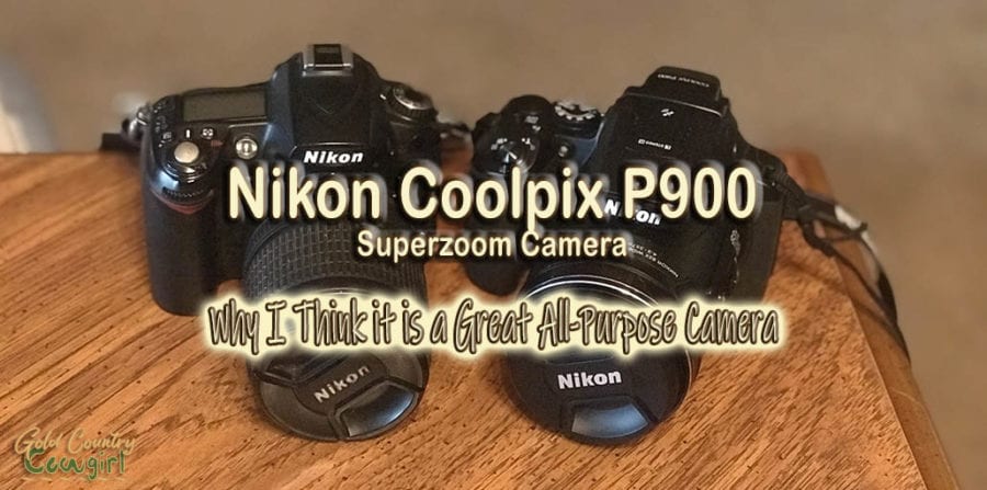 Nikon D90 and Nikon P900 side by side with text overlay: Nikon Coolpix P900 Superzoom Camera Why I thin it is a great all-purpose camera