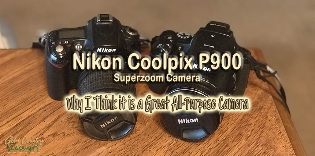 kooi vacht Bek Nikon P900 Superzoom Camera - Great All-Purpose Camera | Golden Country  Cowgirl