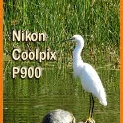 Nikon P900 title graphic v1