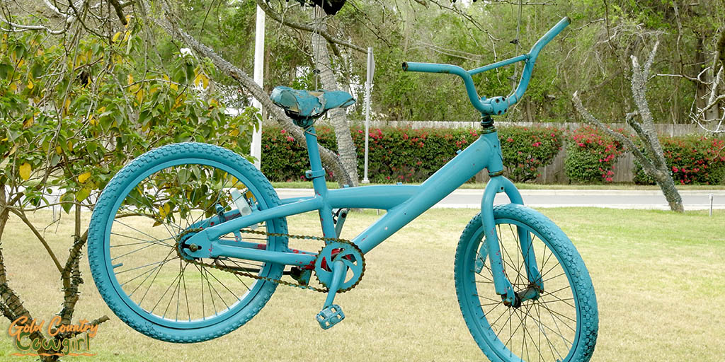 blue bicycle hanging from tree