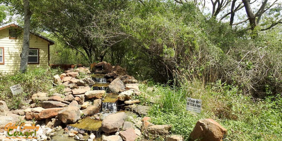 Edinburg Scenic Wetlands and World Birding Center water feature