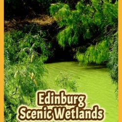 Edinburg Wetlands title graphic v2
