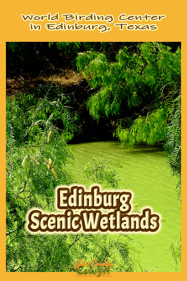 green branches and water with text overlay: World Birding Center in Edinburg, Texas Edinburg Scenic Wetlands