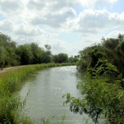 view down canal at Bentsen-Rio Grande Valley State Park