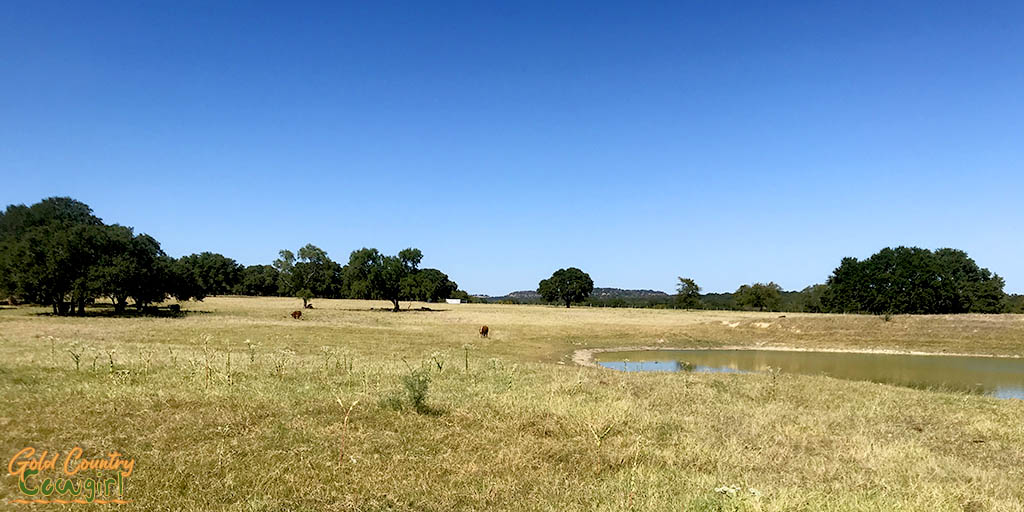 pasture at LBJ National Historical Park